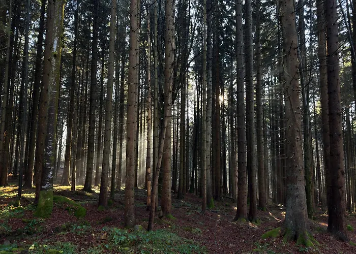 Maiers ホテル バイエリッシュ・アイゼンシュタイン