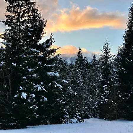 Maiers 酒店 拜尔里舍艾森施泰恩