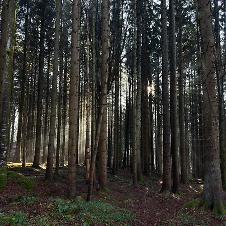 Maiers Hotel Bayerisch Eisenstein