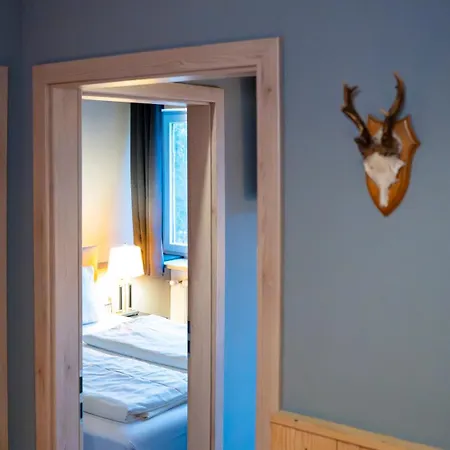 Hotel Maiers 3*