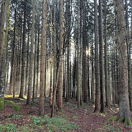 Maiers 3* Bayerisch Eisenstein